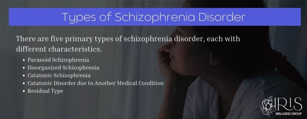 Types of Schizophrenia Disorder